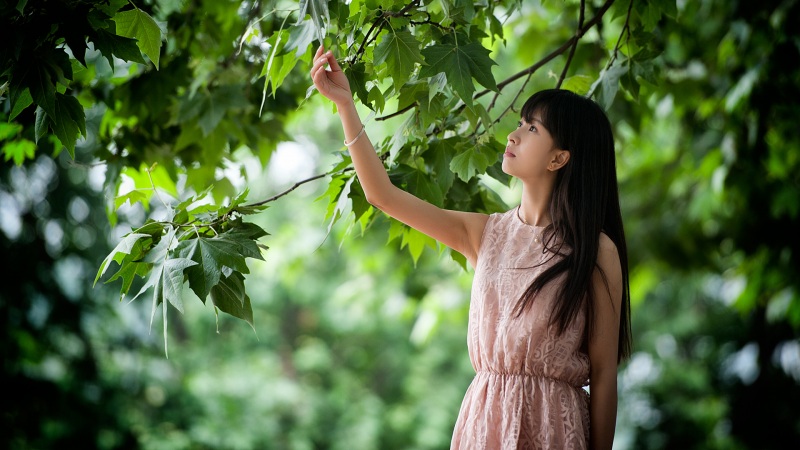 奇迹时代4配置要求高吗 最低推荐配置要求介绍